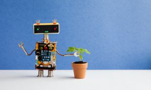 Robot and plant flowerpot